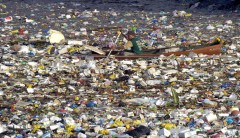 ambiente,green economy,sologreen,green,pacific trash vortex,isola di plastica,isola di plastica oceano pacifico,plastica,oceano pacifico,notizie