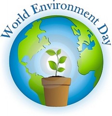 ambiente, green economy, green, sologreen, Giornata mondiale Ambiente 2012, Giornata mondiale Ambiente, energia rinnovabile, eventi, notizie 